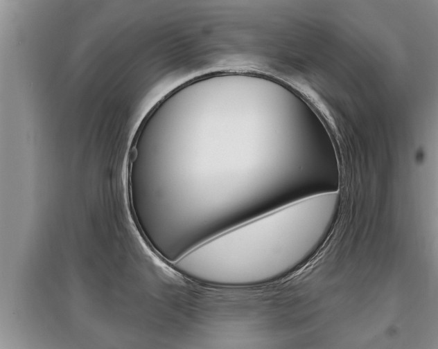 X0000097911343200803141021