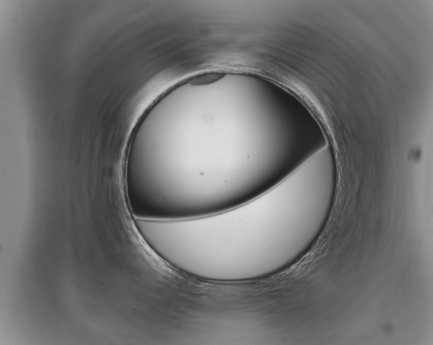 X0000097911344200803141021