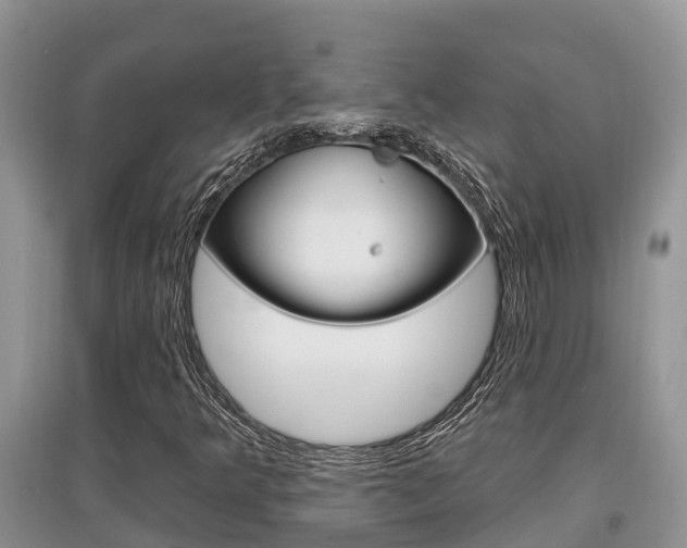 X0000097911349200803141020