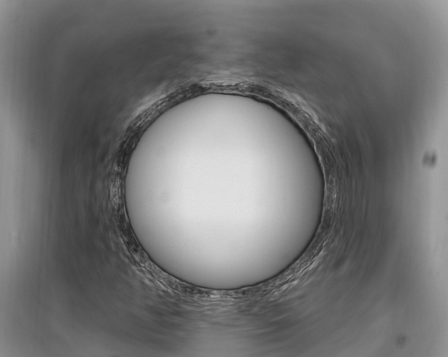 X0000097911350200803141020