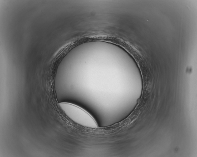 X0000097911351200803141020