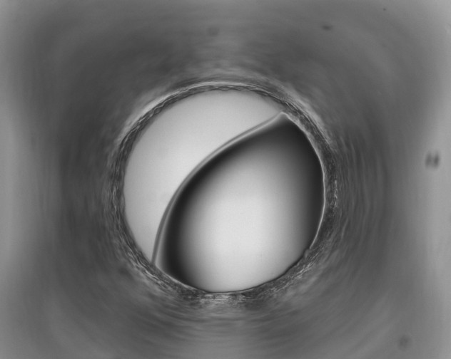 X0000097911352200803141020