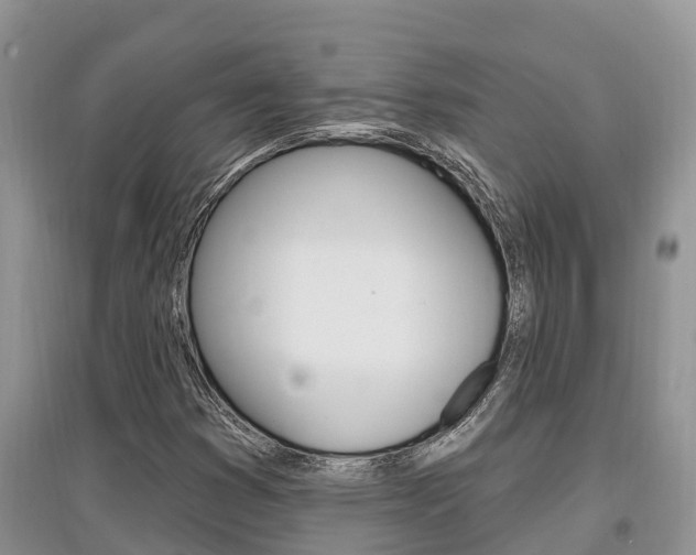 X0000097911353200803141020