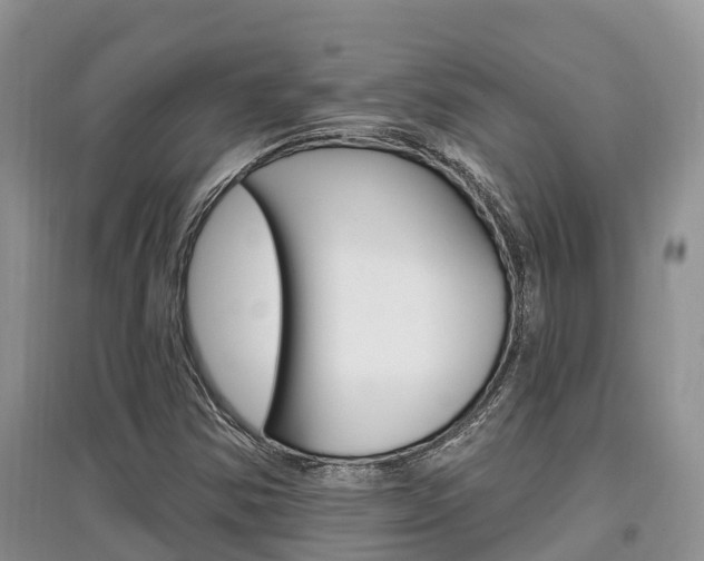 X0000097911354200803141020