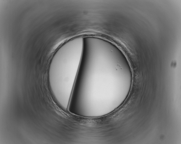 X0000097911355200803141020