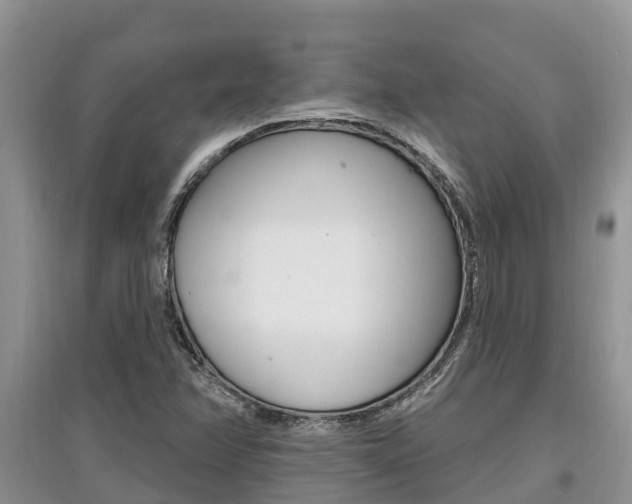 X0000097911358200803141020