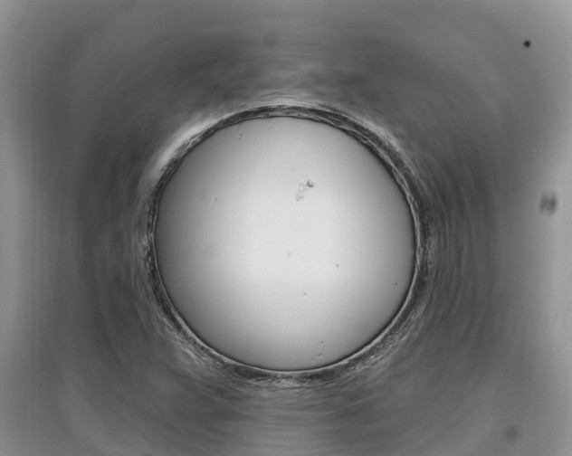X0000097911359200803141020