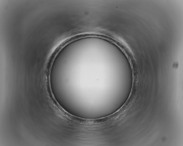 X0000097911360200803141020