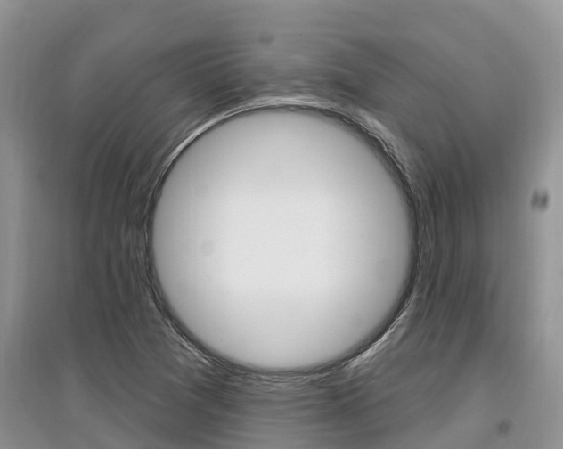 X0000097911361200803141020