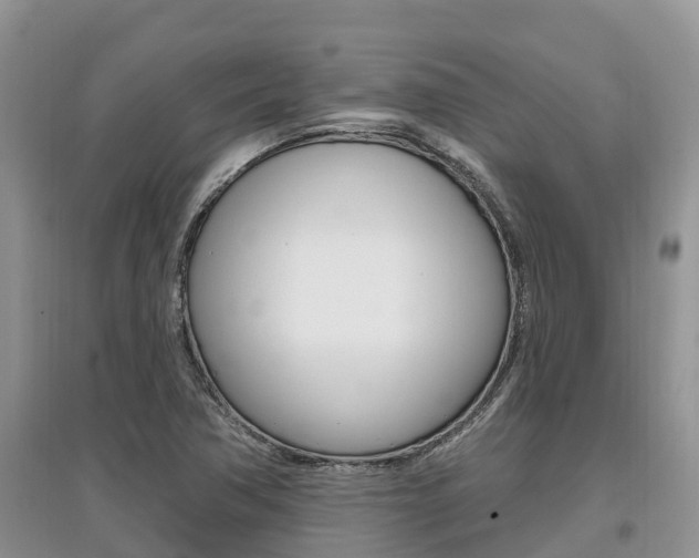 X0000097911362200803141020