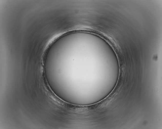 X0000097911363200803141020