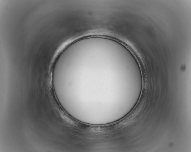 X0000097911366200803141020