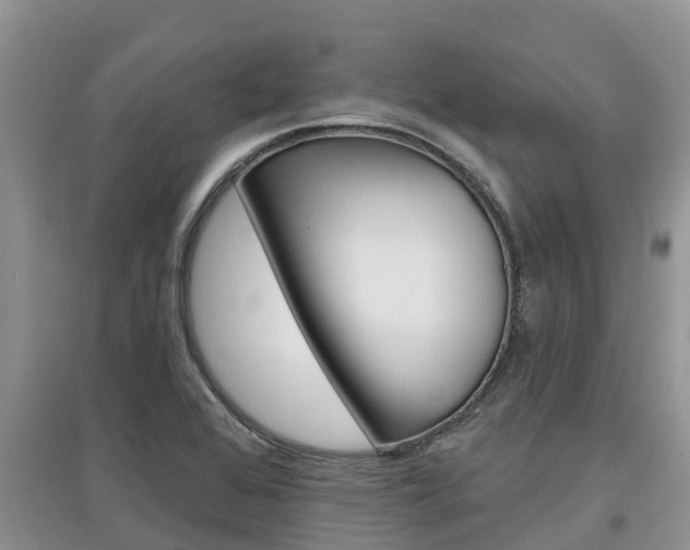 X0000097911368200803141020
