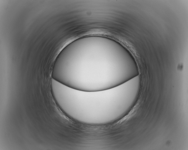 X0000097911369200803141020