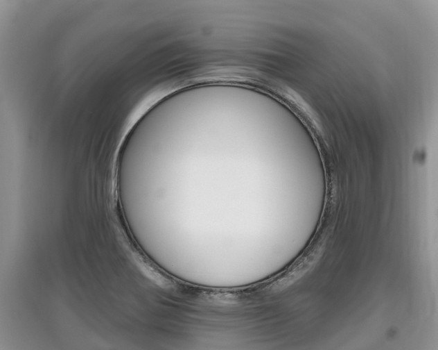 X0000097911370200803141020
