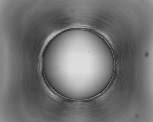 X0000097911371200803141020