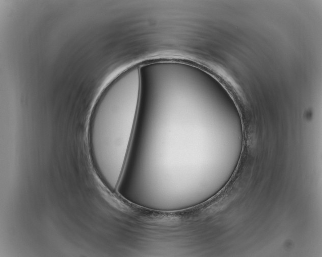 X0000097911372200803141020