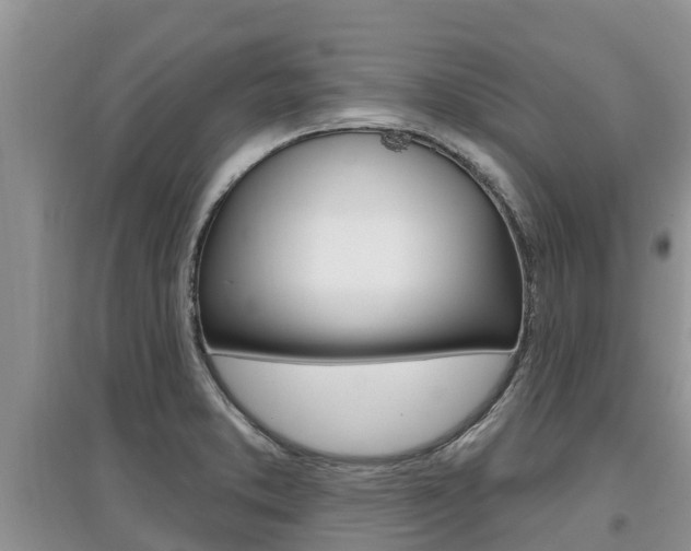 X0000097911373200803141020