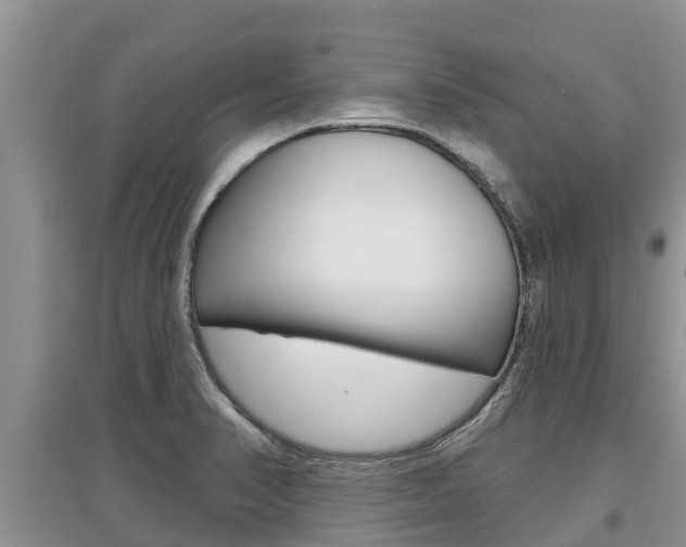 X0000097911374200803141020