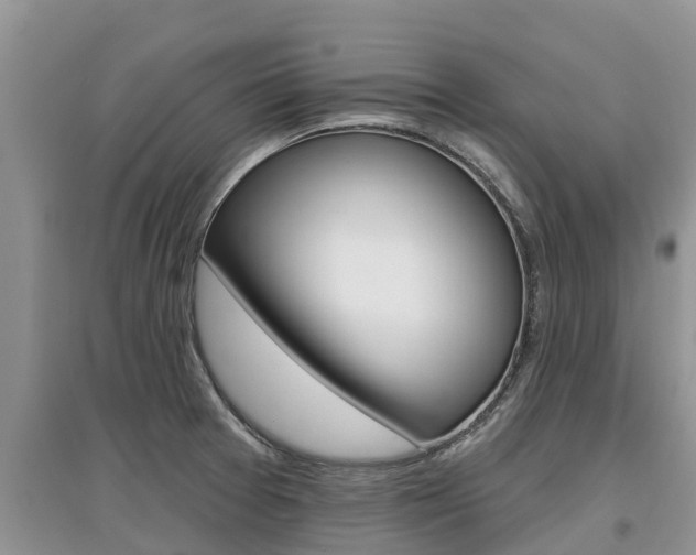 X0000097911377200803141020
