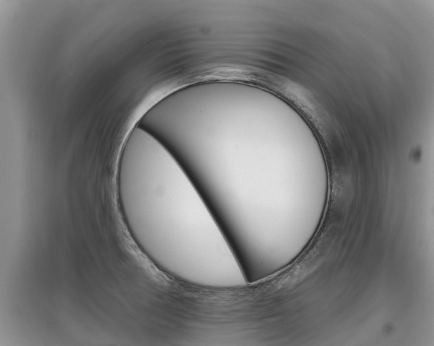 X0000097911378200803141020