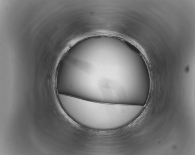 X0000097911381200803141020