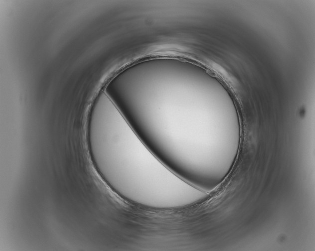 X0000097911384200803141020