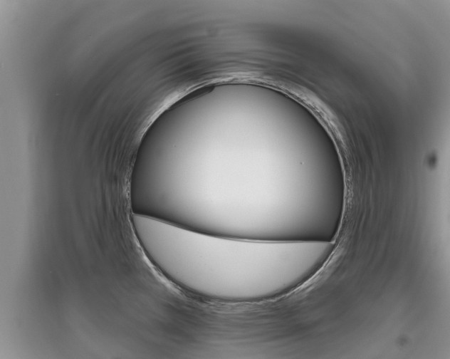 X0000097911385200803141020