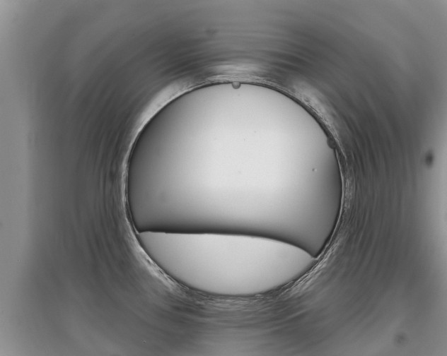X0000097911386200803141020