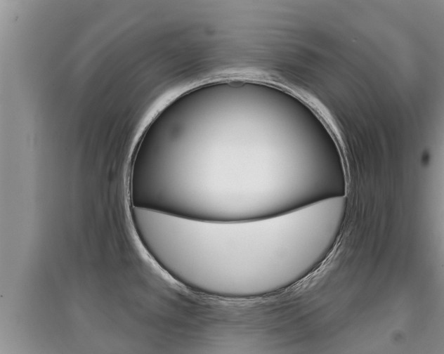 X0000097911389200803141020