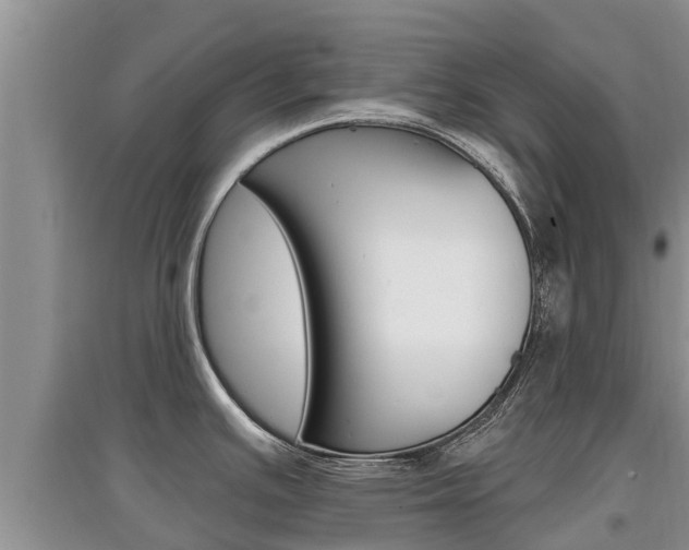 X0000097911391200803141019