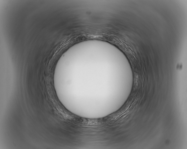 X0000097911393200803141019