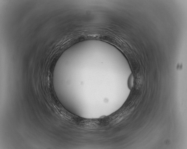 X0000097911394200803141019
