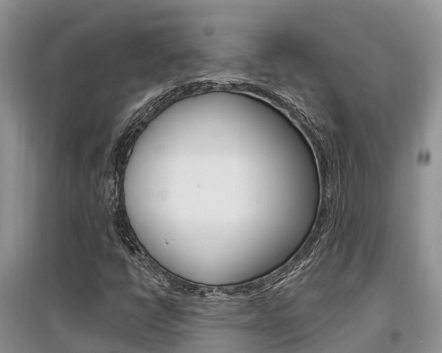 X0000097911398200803141019