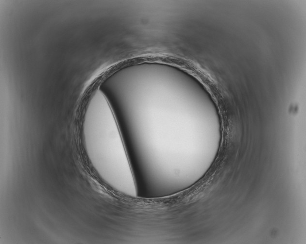 X0000097911400200803141019
