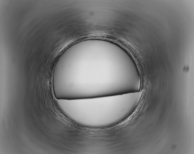 X0000097911401200803141019