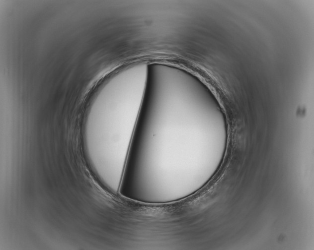 X0000097911402200803141019