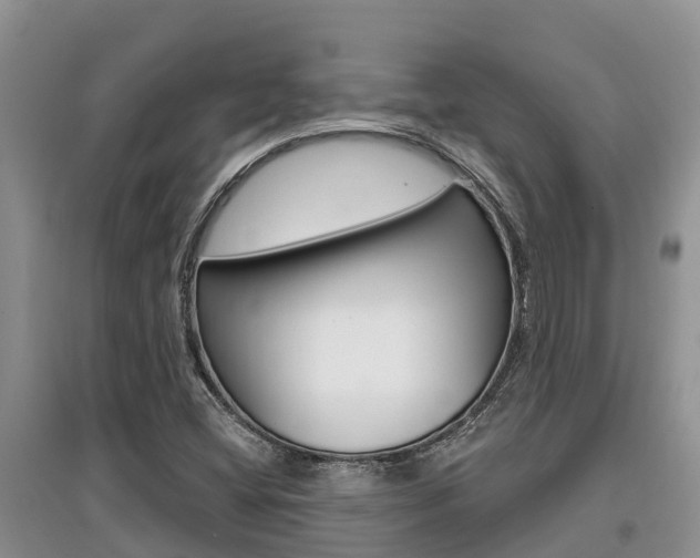 X0000097911404200803141019