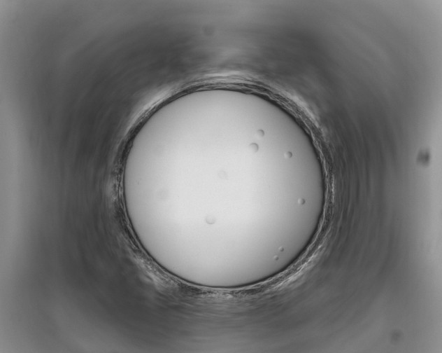 X0000097911405200803141019