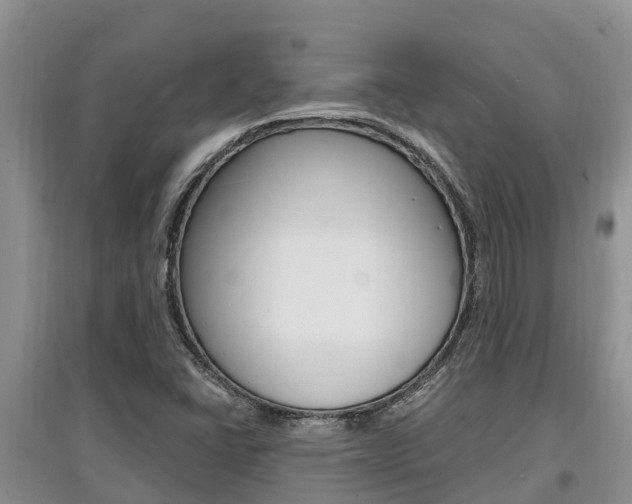 X0000097911406200803141019