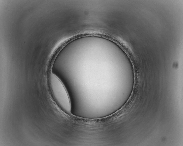 X0000097911408200803141019