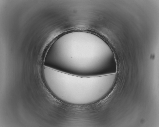 X0000097911410200803141019