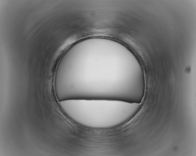 X0000097911411200803141019
