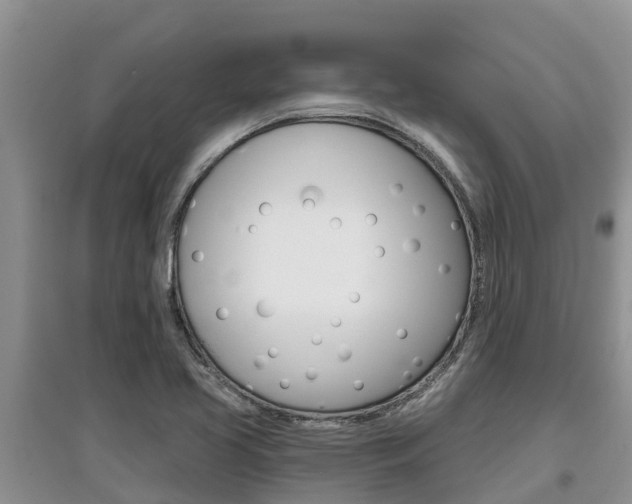 X0000097911413200803141019