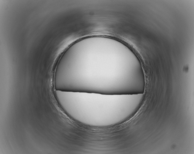 X0000097911415200803141019