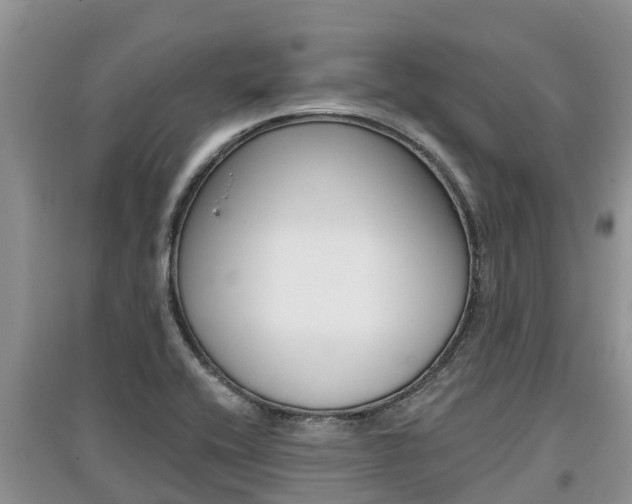 X0000097911416200803141019