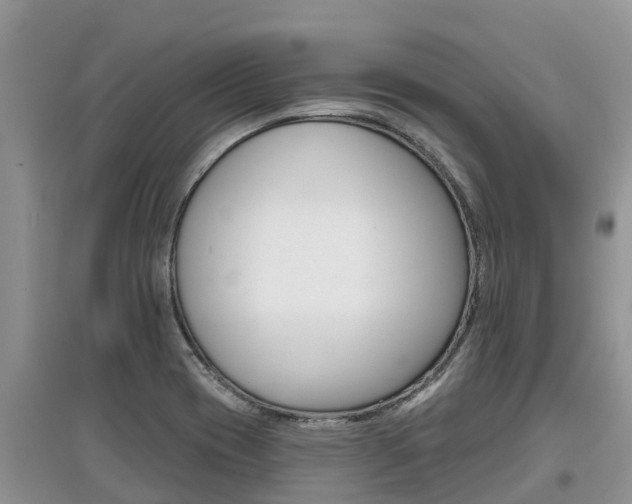 X0000097911417200803141019