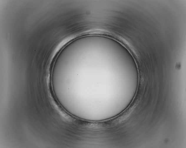 X0000097911418200803141019