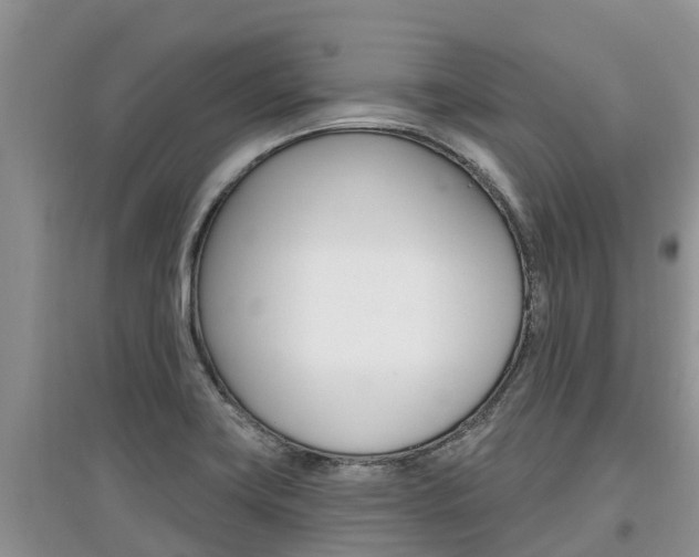 X0000097911419200803141019