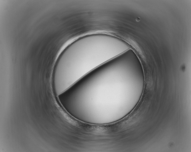 X0000097911420200803141019